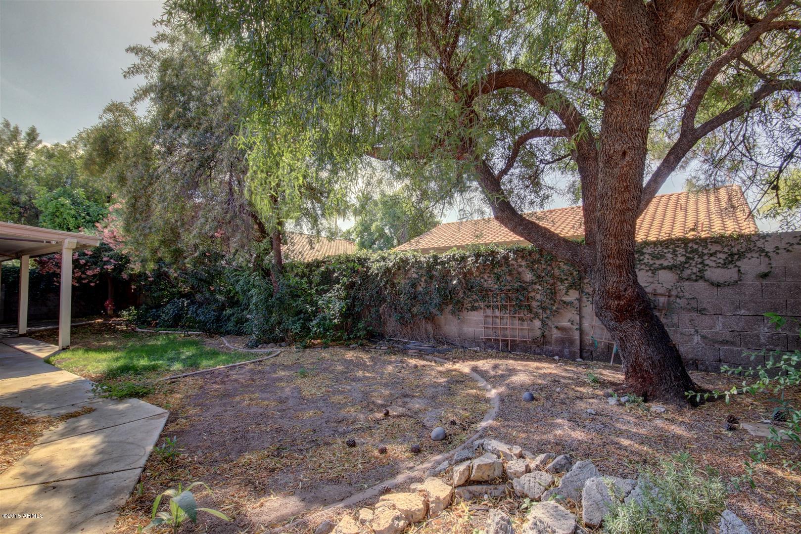 641 West Tumbleweed Road Gilbert, AZ 85233 - Photo 28 of 31 Tumbleweed (33)