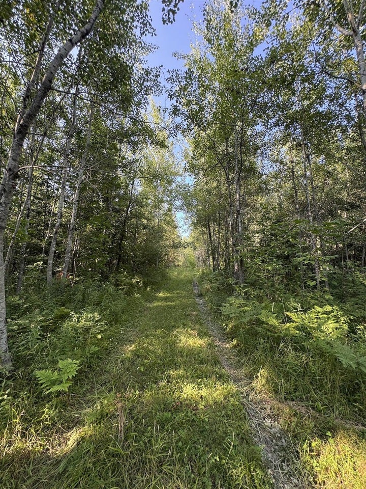 East Procunier Road Harrisville, MI 48740 - Photo 57 of 78 Gallery Image 57