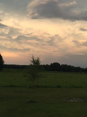 6017 Old Wire Road Maxton, NC 28364 - Photo 12 of 26 Additional Photo