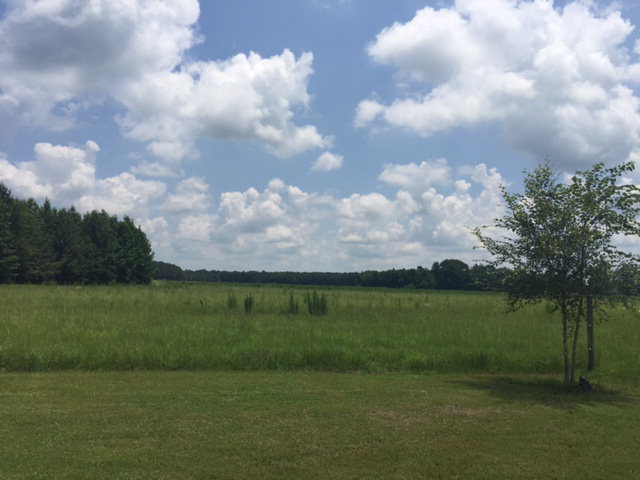 6017 Old Wire Road Maxton, NC 28364 - Photo 19 of 26 Additional Photo