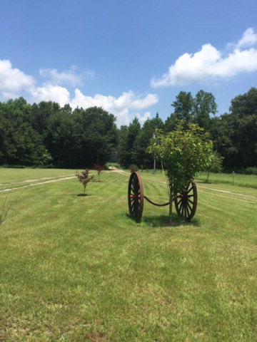 6017 Old Wire Road Maxton, NC 28364 - Photo 24 of 26 Additional Photo