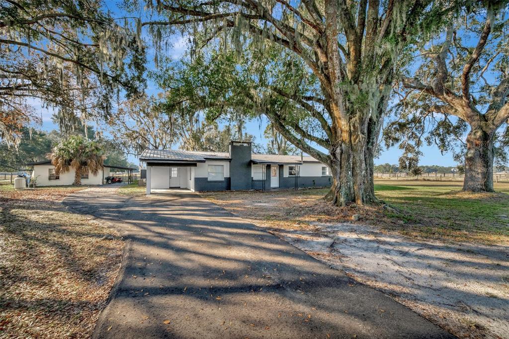 4111 East Knights Griffin Road Plant City, FL 33565 - Photo 1 of 1 a view of house with trees in the background