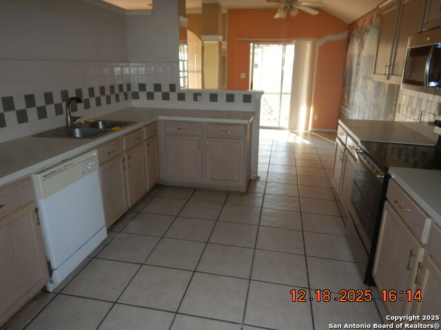 8415 Copperbluff Converse, TX 78109 - Photo 6 of 13