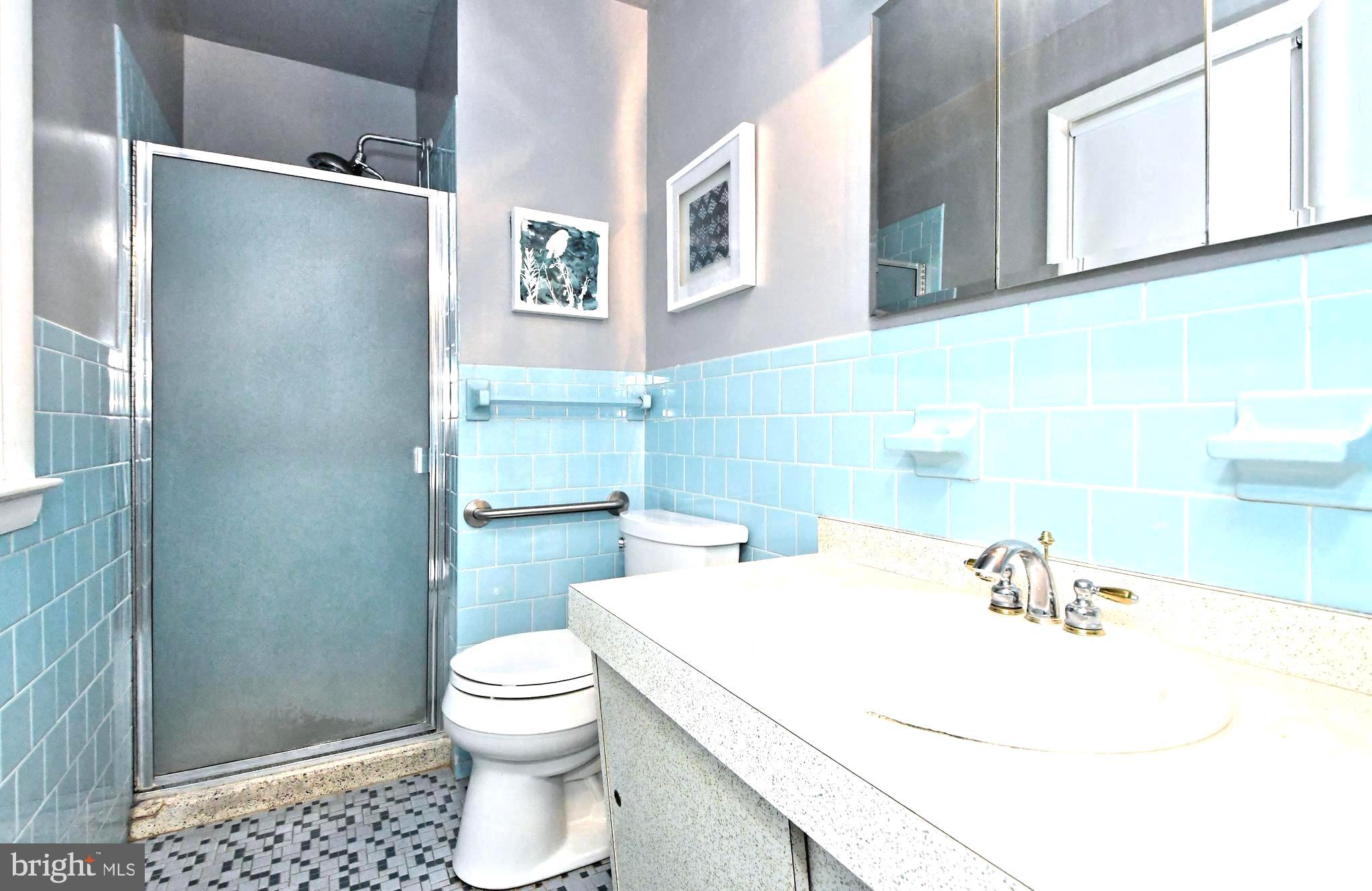 1669 Kenmare Drive Dresher, PA 19025 - Photo 16 of 29 Primary bath with stall shower