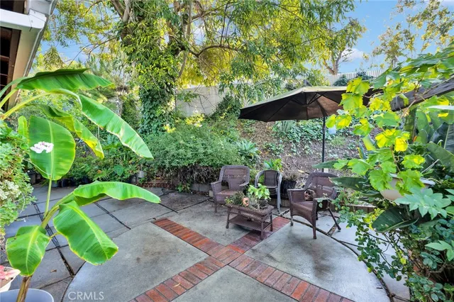 a view of a garden with potted plants