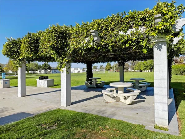 a view of a patio with table and chairs potted plants and palm tree