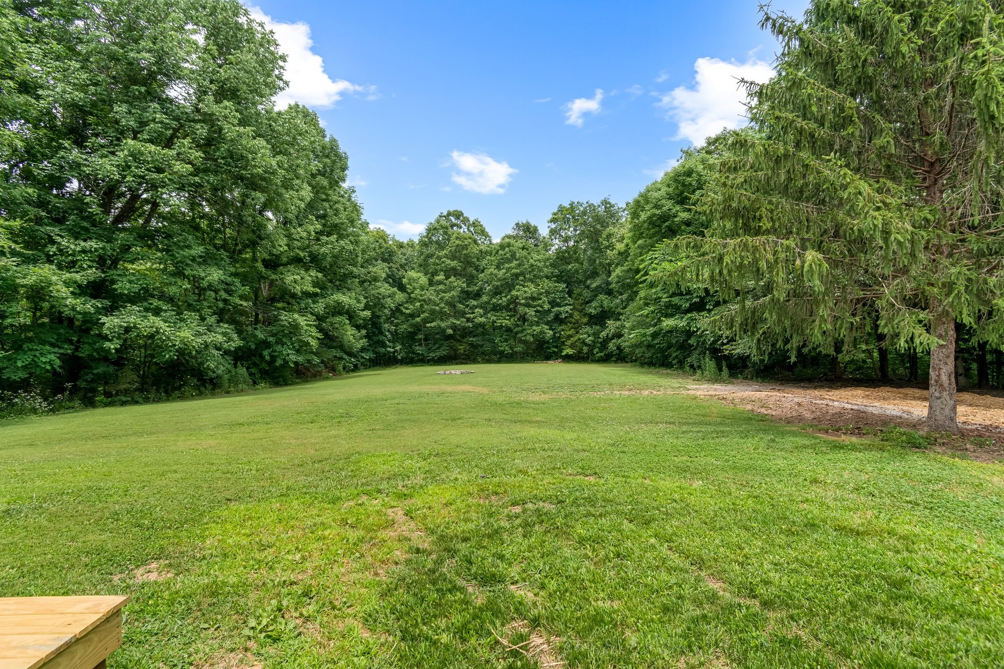 136 Pack Annex Road White Bluff, TN 37187 - Photo 47 of 64 Gallery Image 47