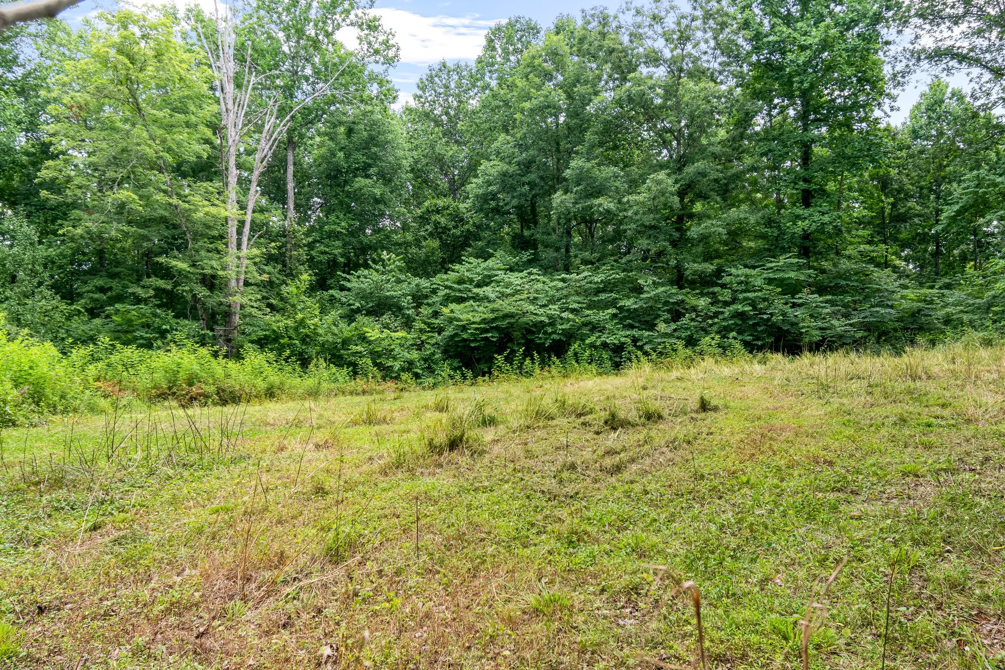 136 Pack Annex Road White Bluff, TN 37187 - Photo 48 of 64 Gallery Image 48