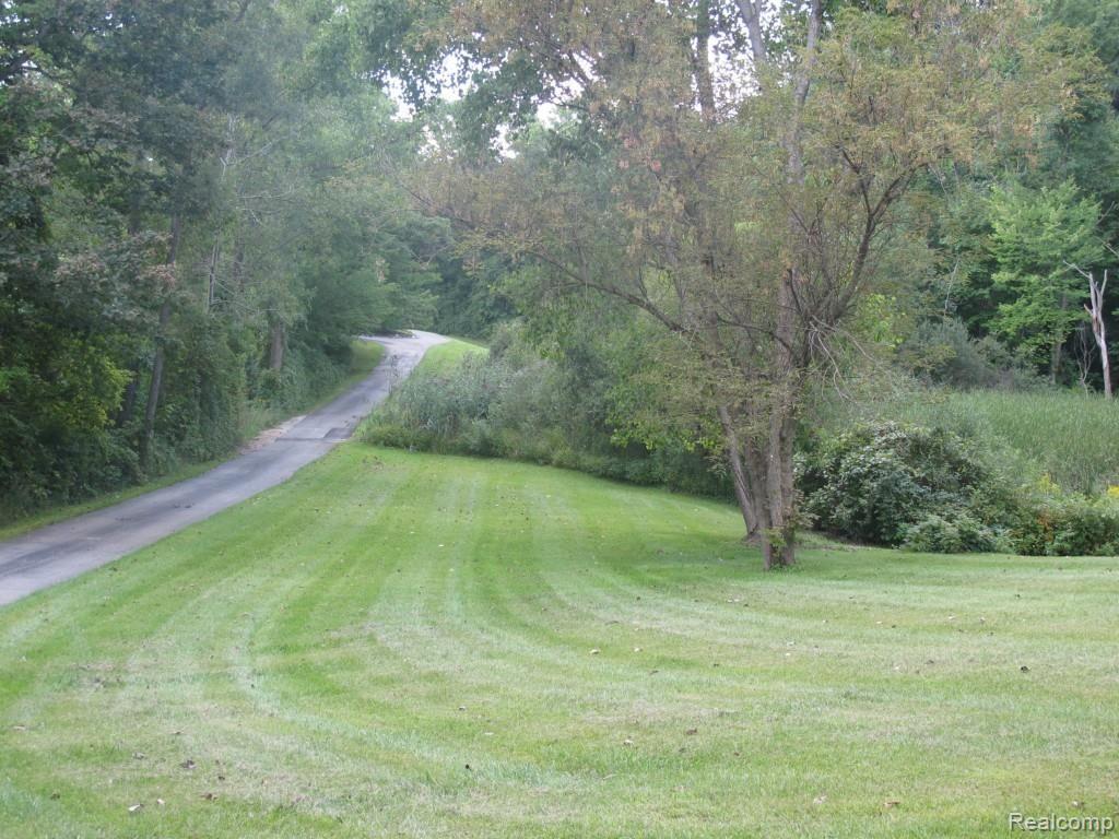 1350 East Schafer Road Pinckney, MI 48169 - Photo 50 of 51 View from E Schafer Rd