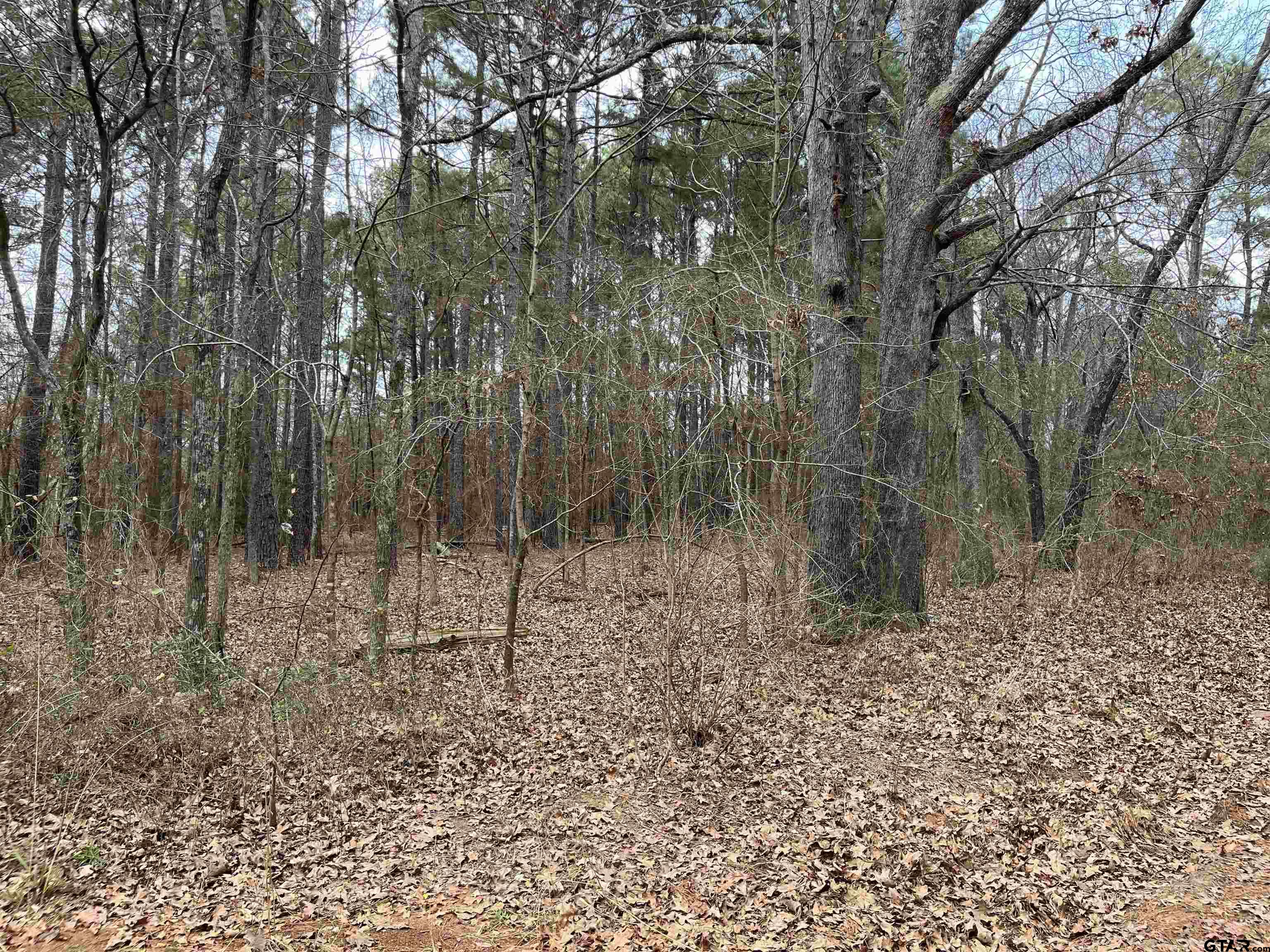 3 Venus Road Gladewater, TX 75647 - Photo 3 of 9 a view of a yard with trees