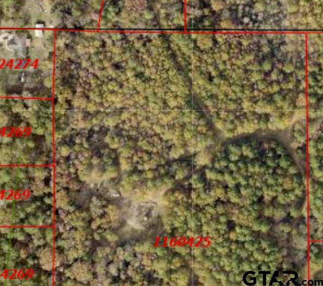 3 Venus Road Gladewater, TX 75647 - Photo 5 of 9 a view of a small yard