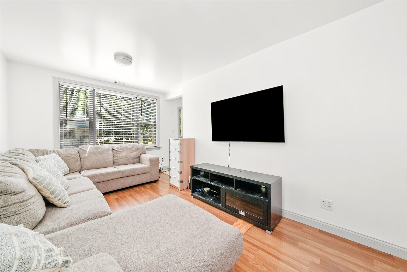 142 West Swann Street Chicago, IL 60609 - Photo 3 of 41
