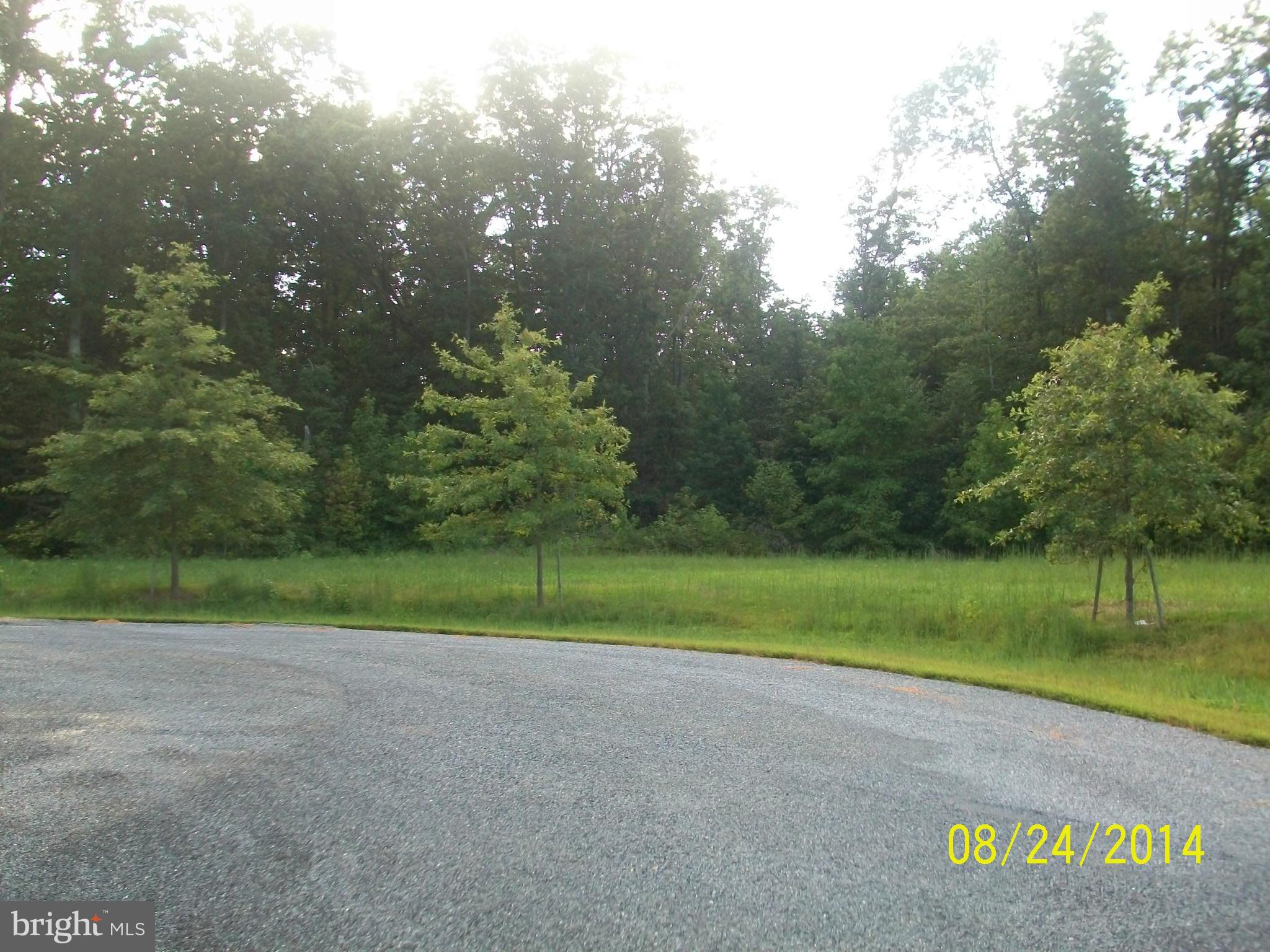 Meadow Road Worton, MD 21678 - Photo 4 of 5 Exterior (General)
