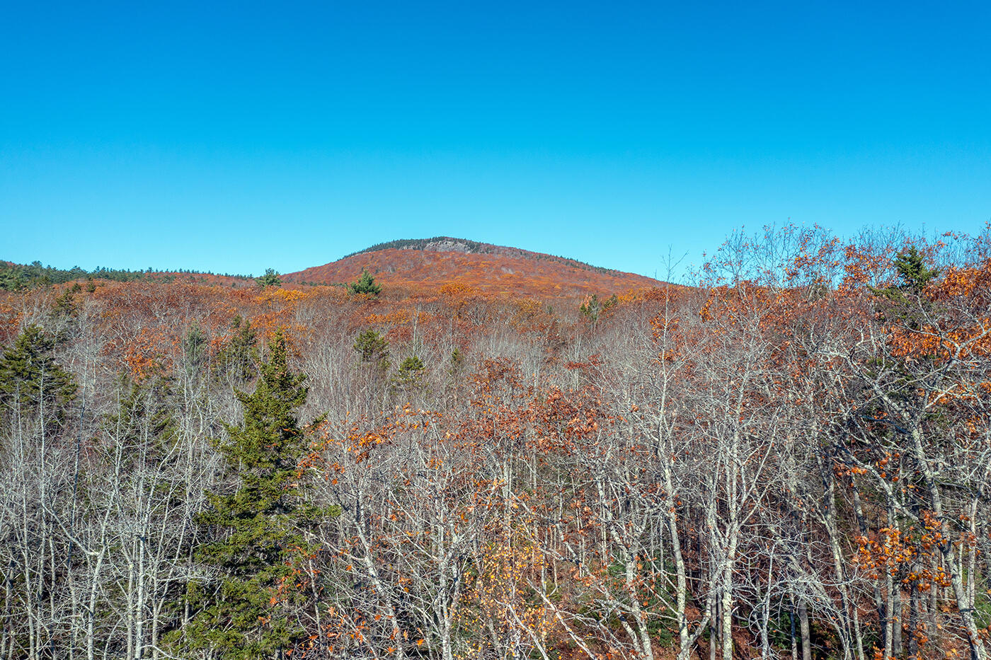 28 Upland Road Camden, ME 04843 - Photo 48 of 57 DJI_0245