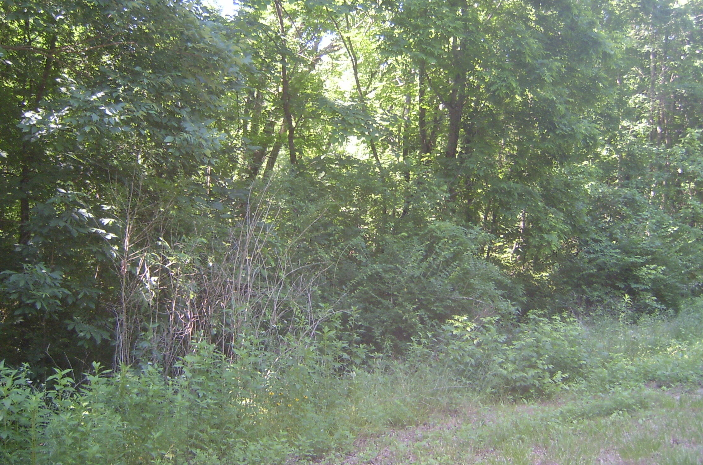 Tbd L Swafford Road Pikeville, TN 37367 - Photo 2 of 6 Twin Lakes1