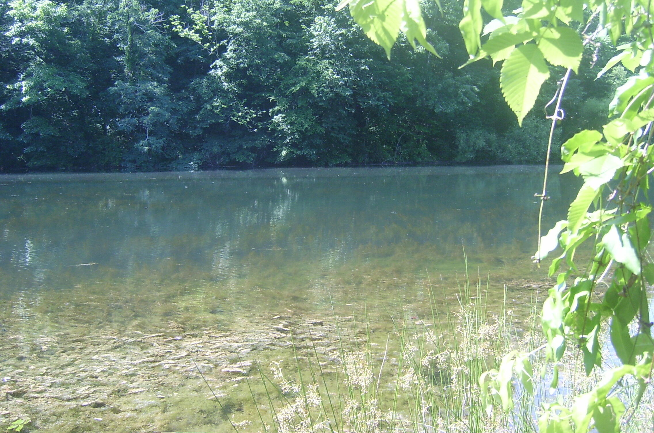 Tbd L Swafford Road Pikeville, TN 37367 - Photo 4 of 6 Twin Lakes3
