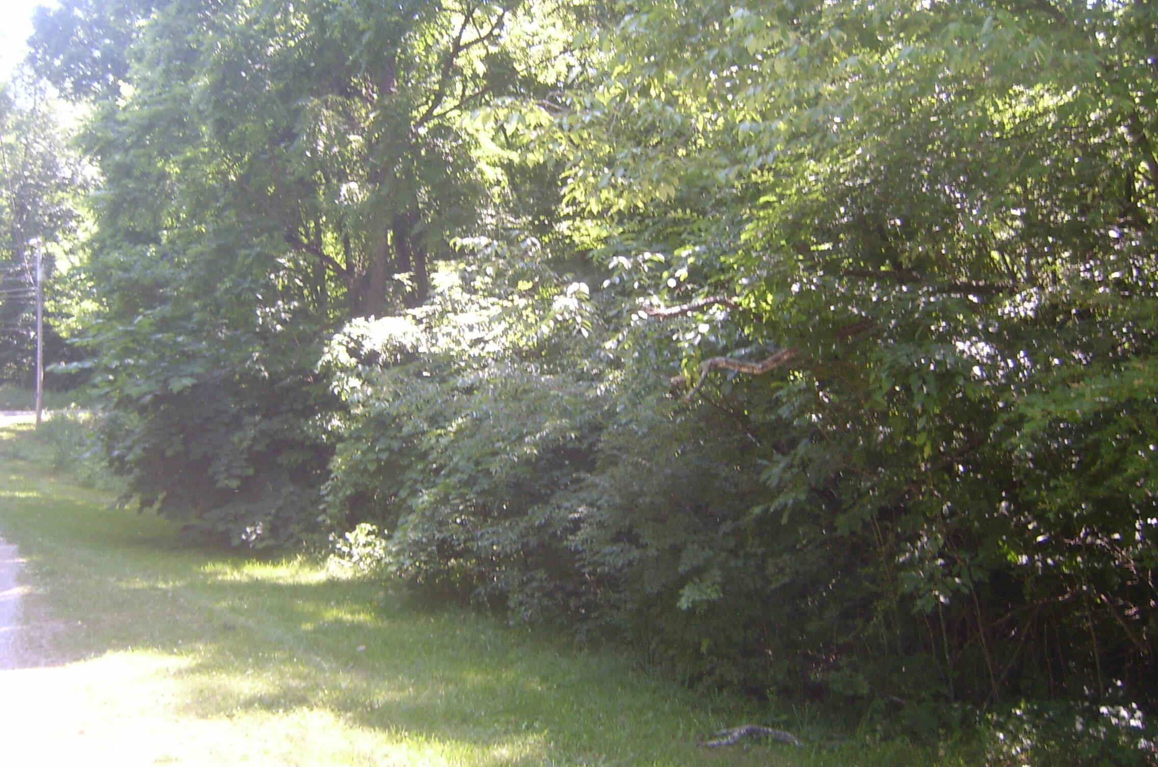 Tbd L Swafford Road Pikeville, TN 37367 - Photo 5 of 6 Twin Lakes4
