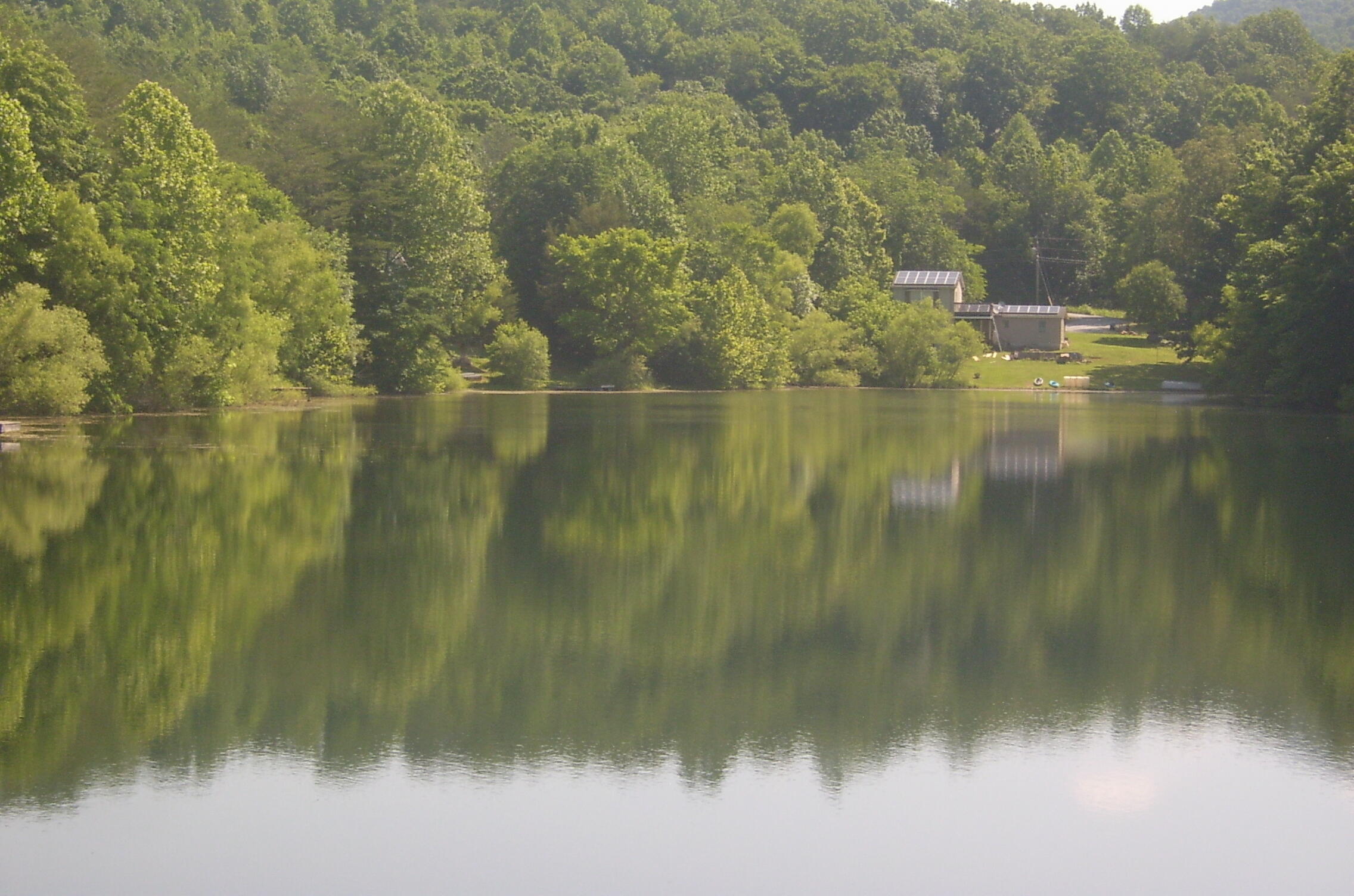 Tbd L Swafford Road Pikeville, TN 37367 - Photo 6 of 6 Twin Lakes5