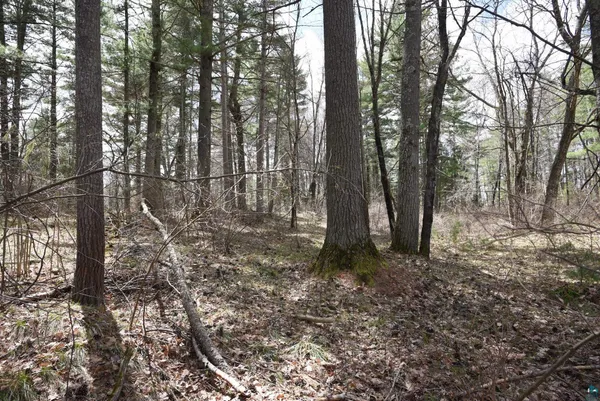 $349,900 | 43725 Kavanaugh Road, Cable, WI 54821