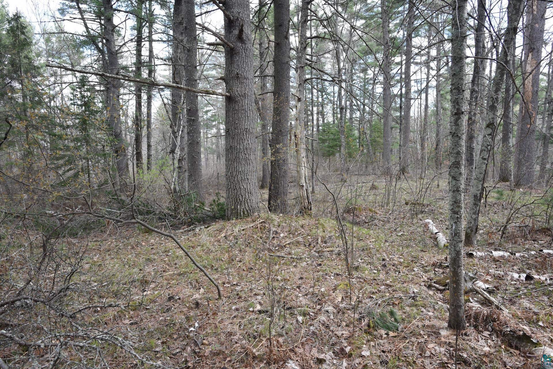 43725 Kavanaugh Road Cable, WI 54821 - Photo 36 of 46