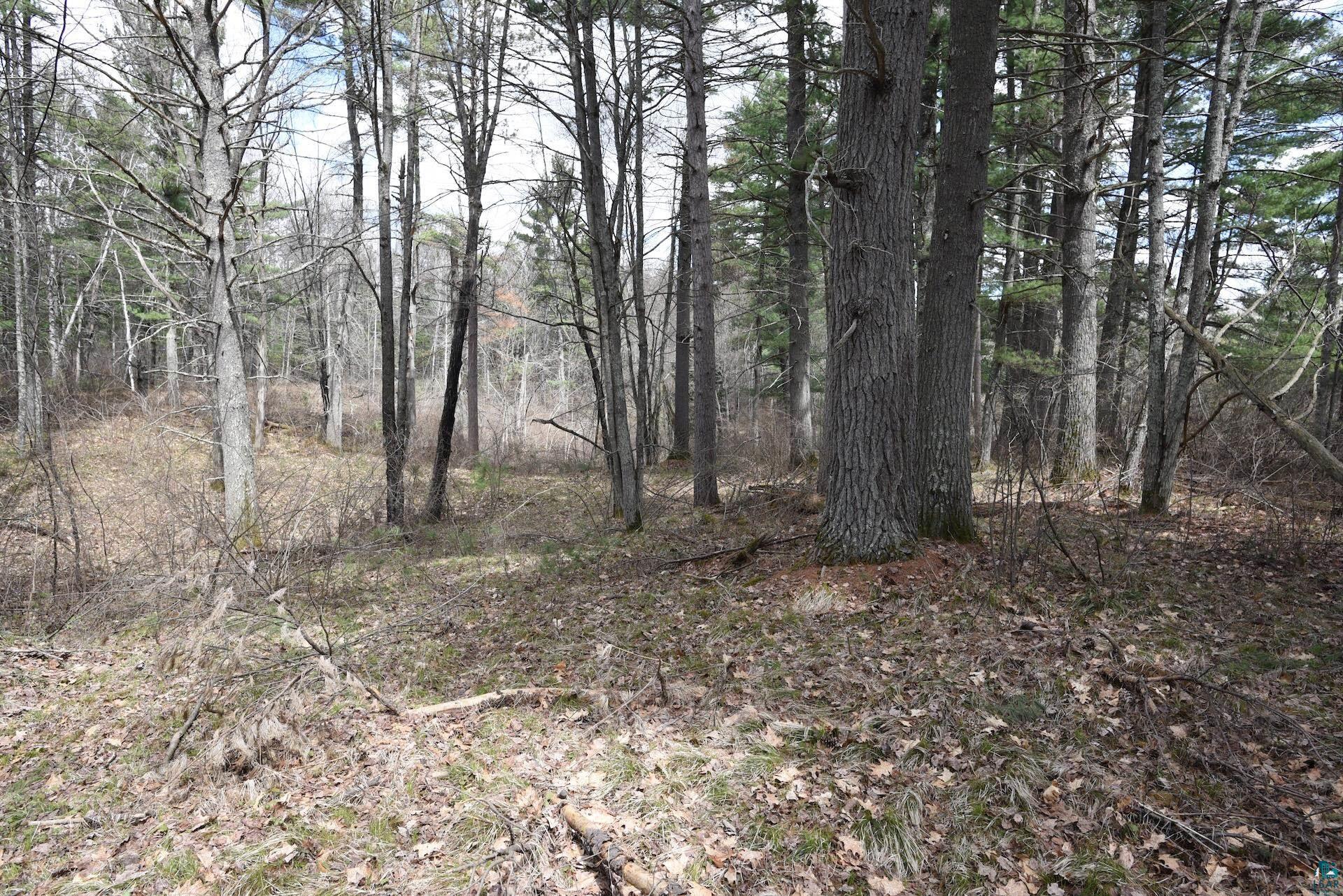 43725 Kavanaugh Road Cable, WI 54821 - Photo 37 of 46