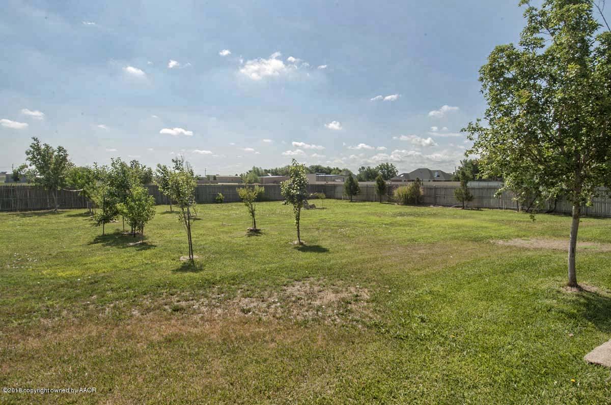 9251 Greyhawk Road Amarillo, TX 79119 - Photo 52 of 63 YARD VIEW 1