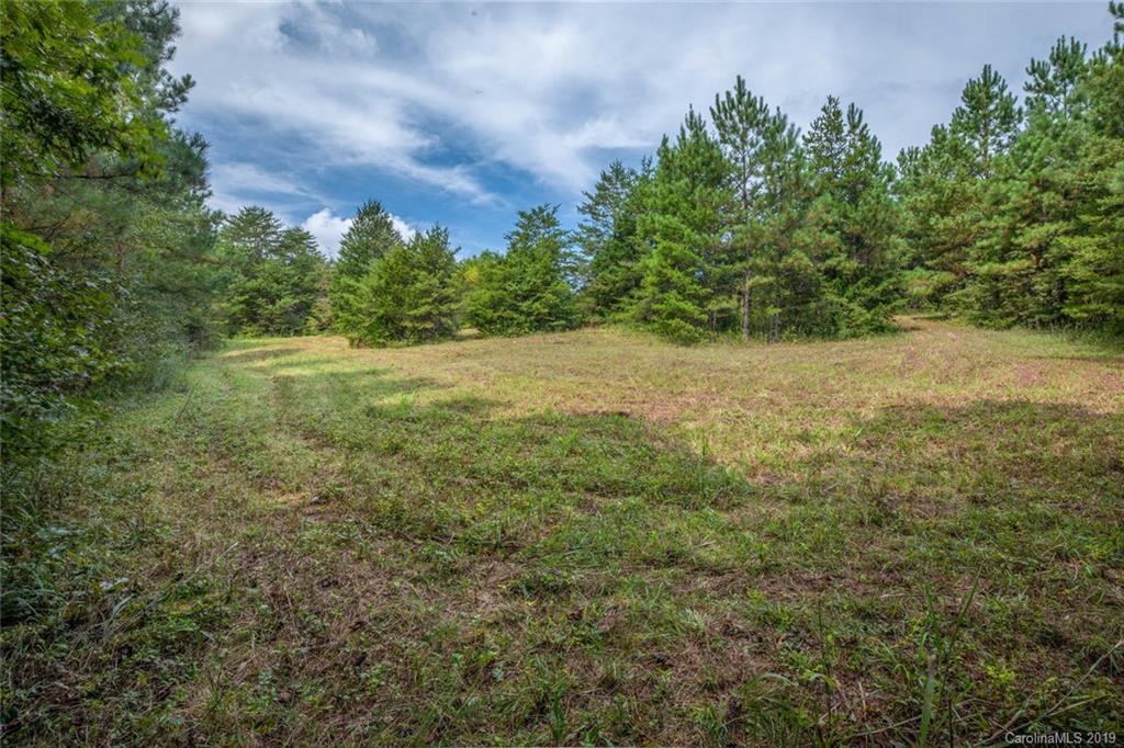 1051 Darlington Road Rutherfordton, NC 28139 - Photo 26 of 27