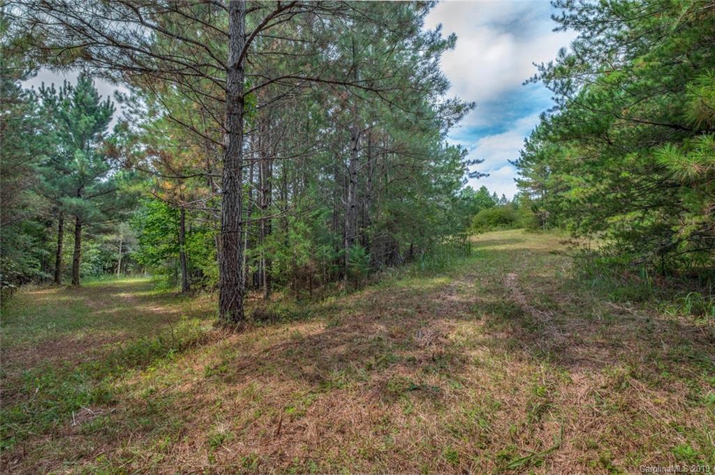 1051 Darlington Road Rutherfordton, NC 28139 - Photo 27 of 27