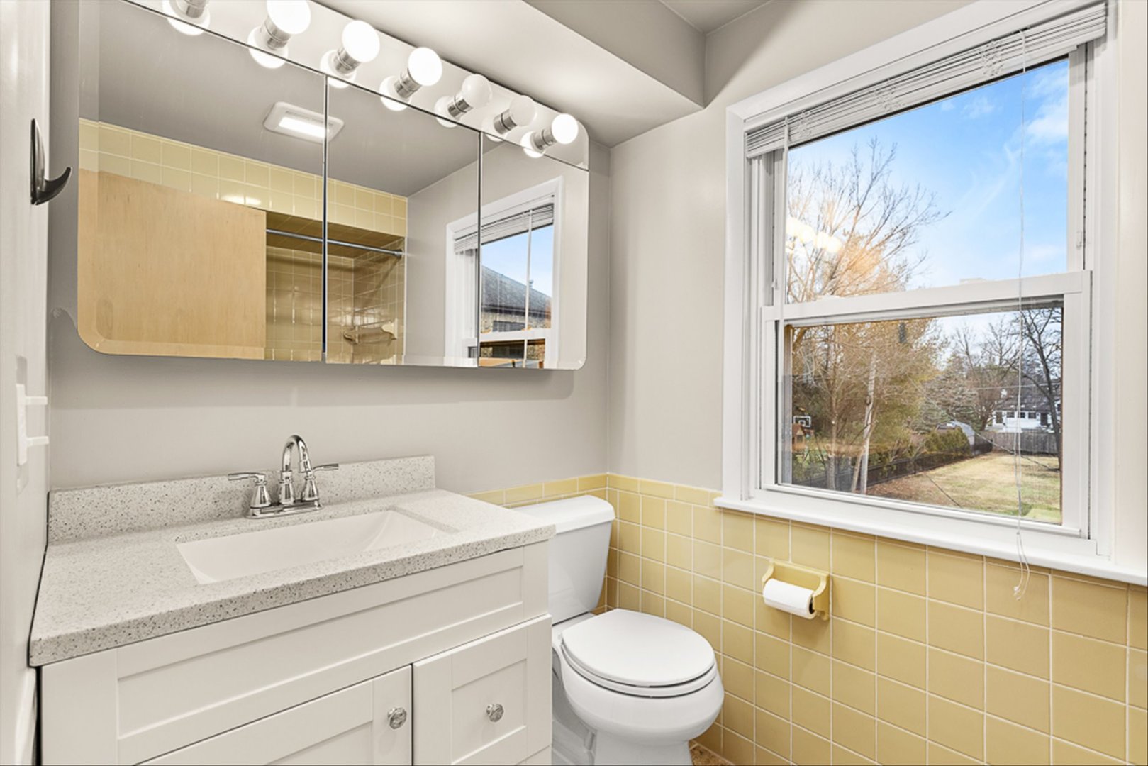 5631 South Oak Street Hinsdale, IL 60521 - Photo 20 of 38 a bathroom with a sink a large mirror and a toilet