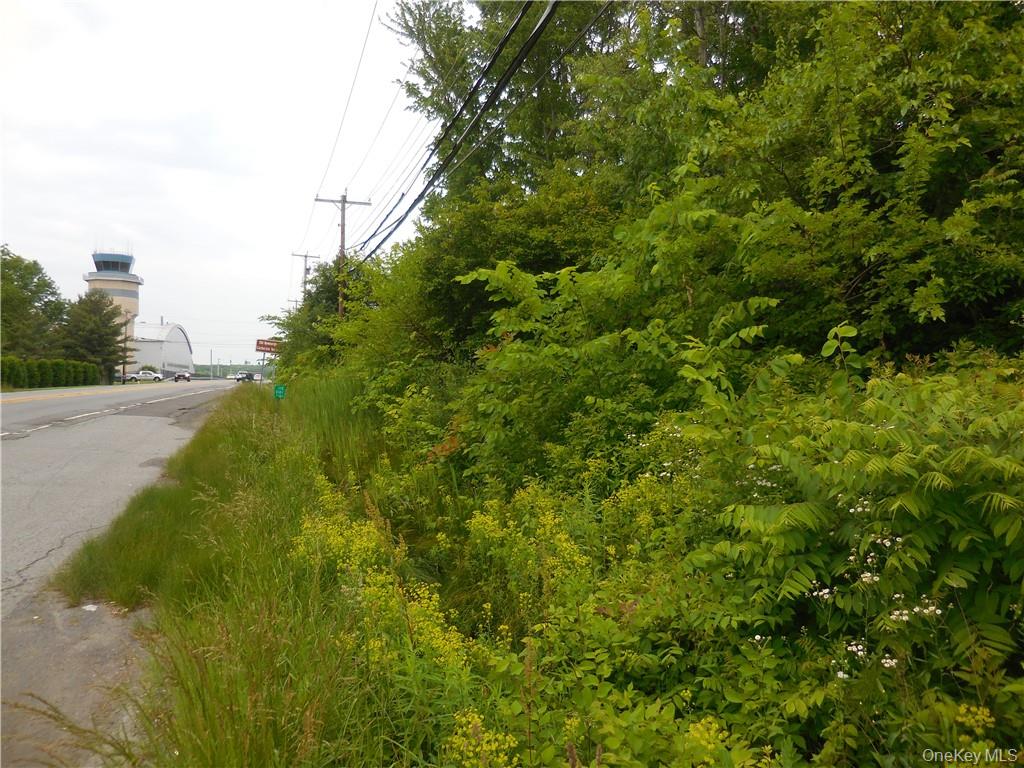 Fletcher Drive Newburgh, NY 12550 - Photo 13 of 14 a view of a big yard with plants and large trees
