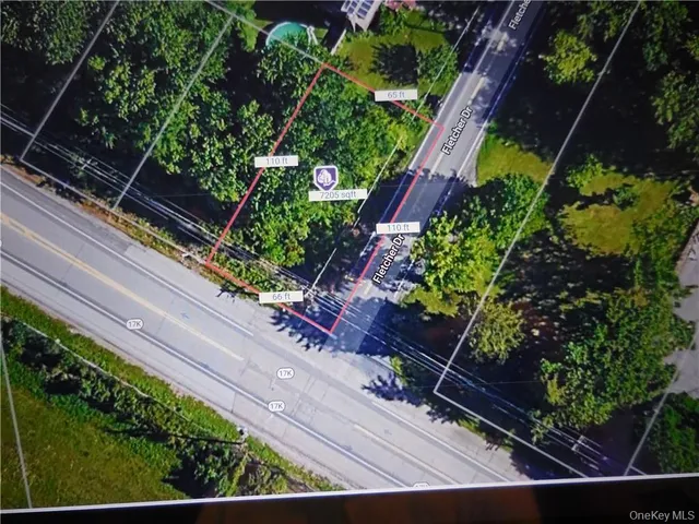 a view of a yard with plants