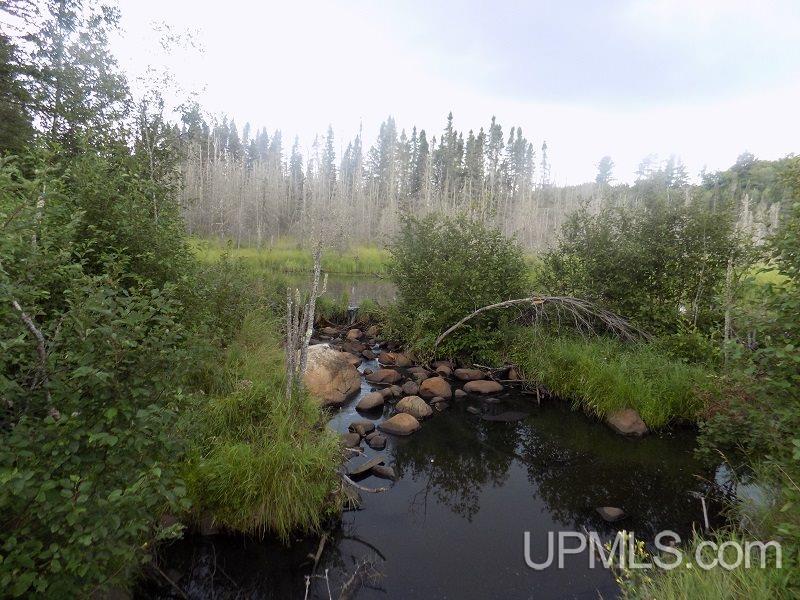 Tbd Mill Creek Road Republic, MI 49879 - Photo 5 of 11