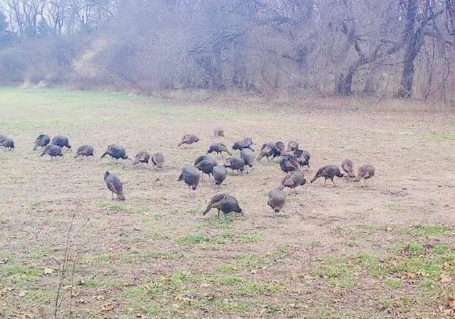 $275,000 | 0 2050th Road, Lawrence, KS 66049