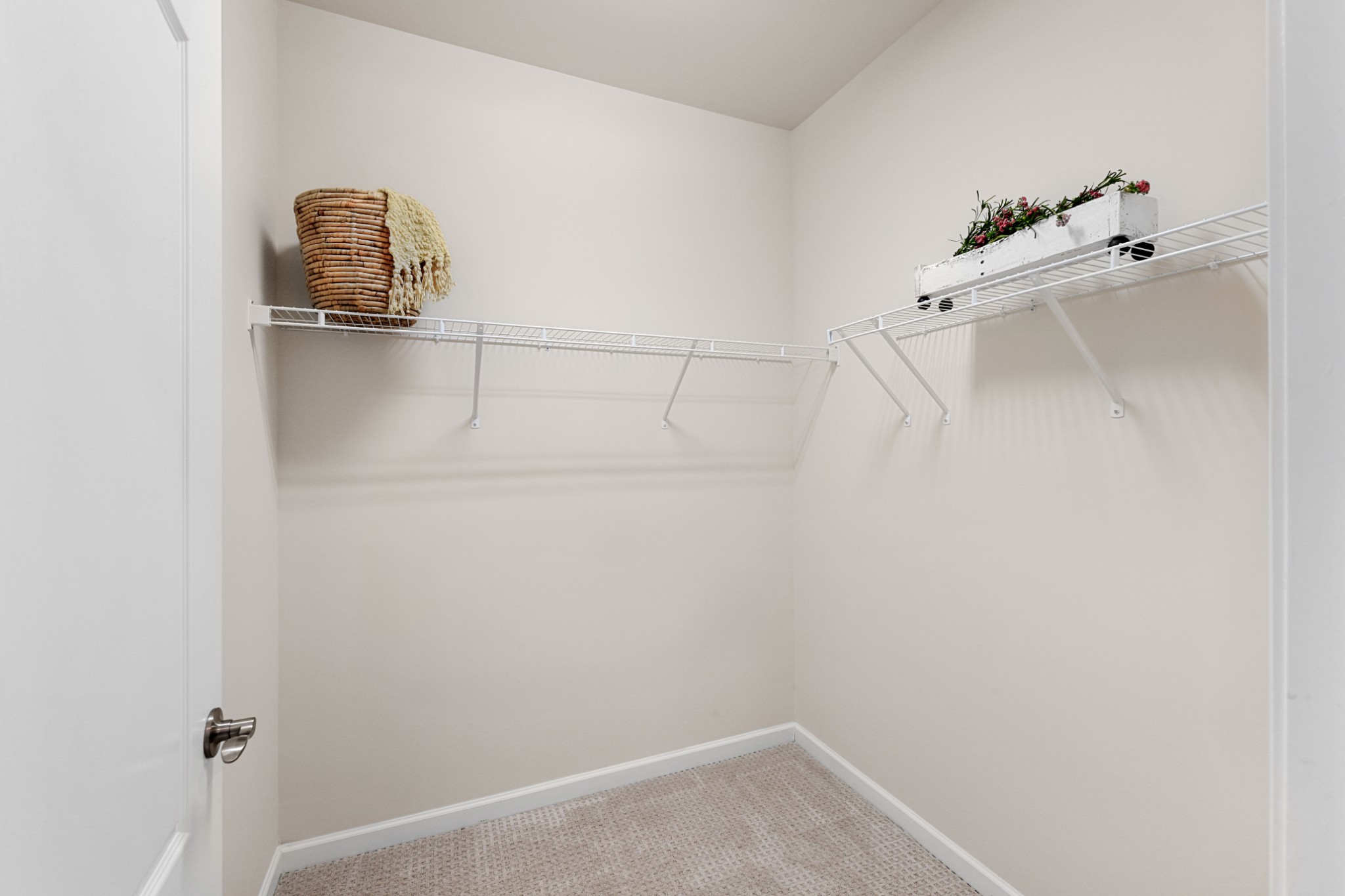 1009 Coffee Ridge Spring Hill, TN 37174 - Photo 31 of 53 a view of walk in closet