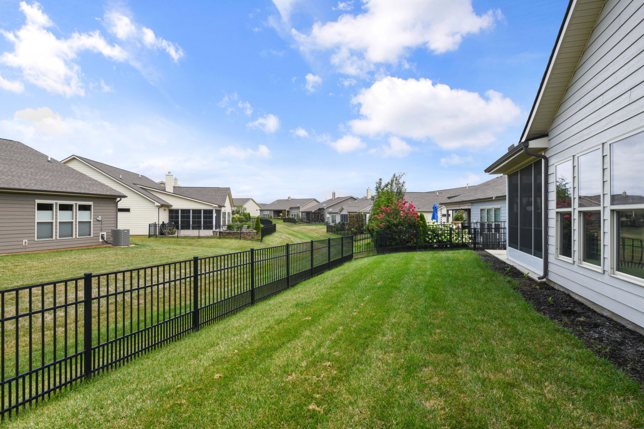1009 Coffee Ridge Spring Hill, TN 37174 - Photo 41 of 53 a view of an house with backyard and garden