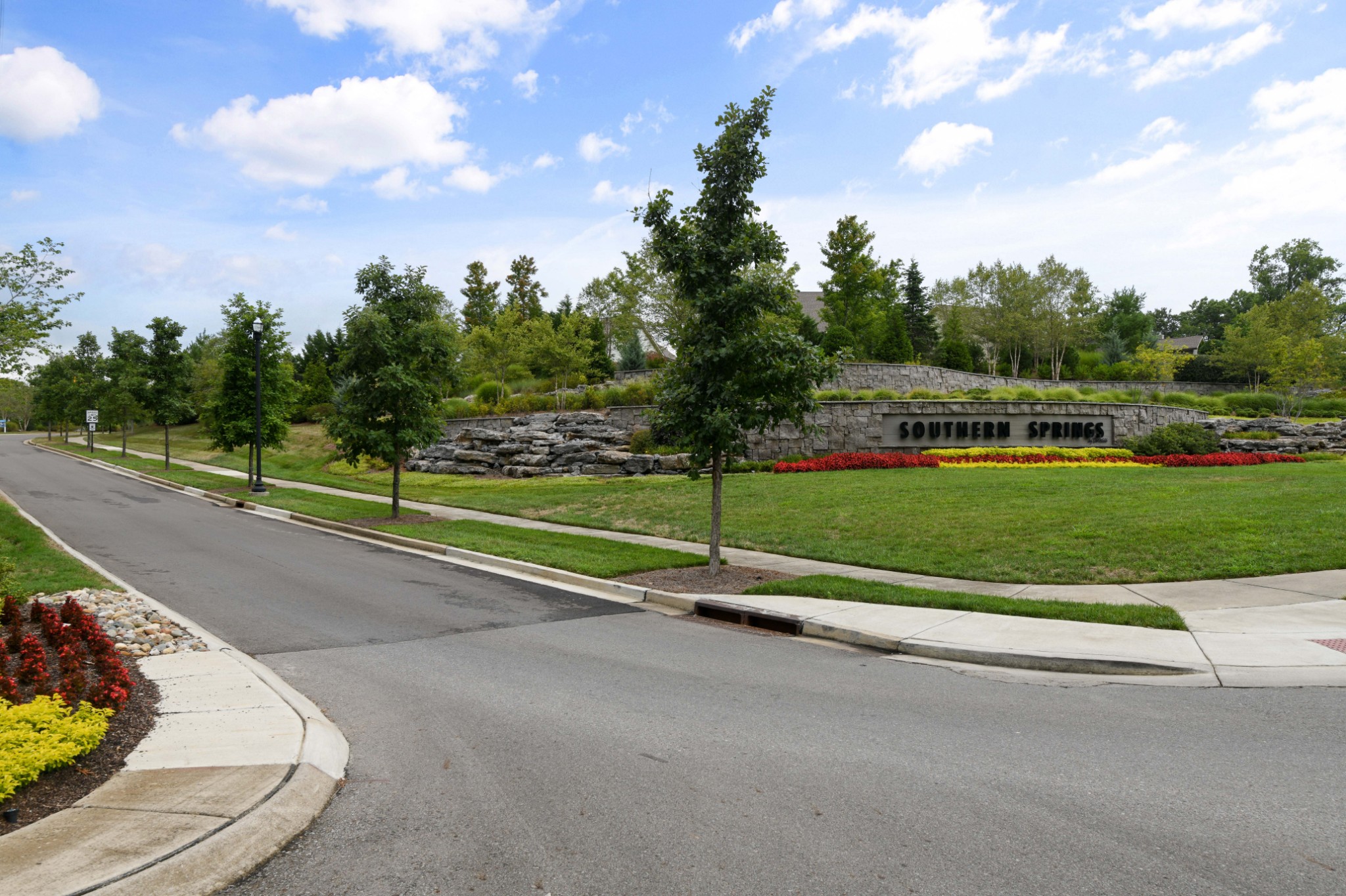 1009 Coffee Ridge Spring Hill, TN 37174 - Photo 45 of 53