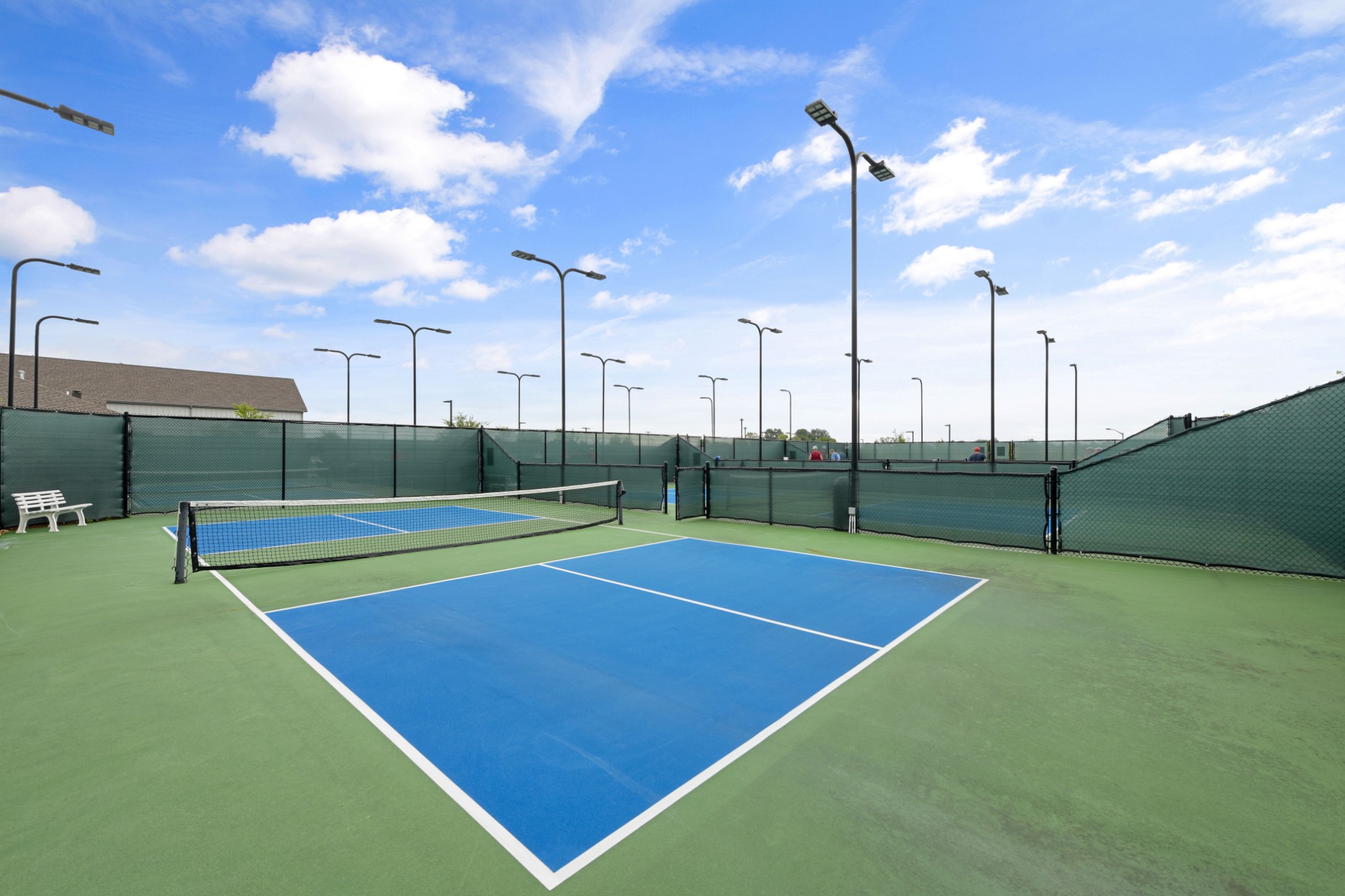 1009 Coffee Ridge Spring Hill, TN 37174 - Photo 46 of 53 a view of a tennis court