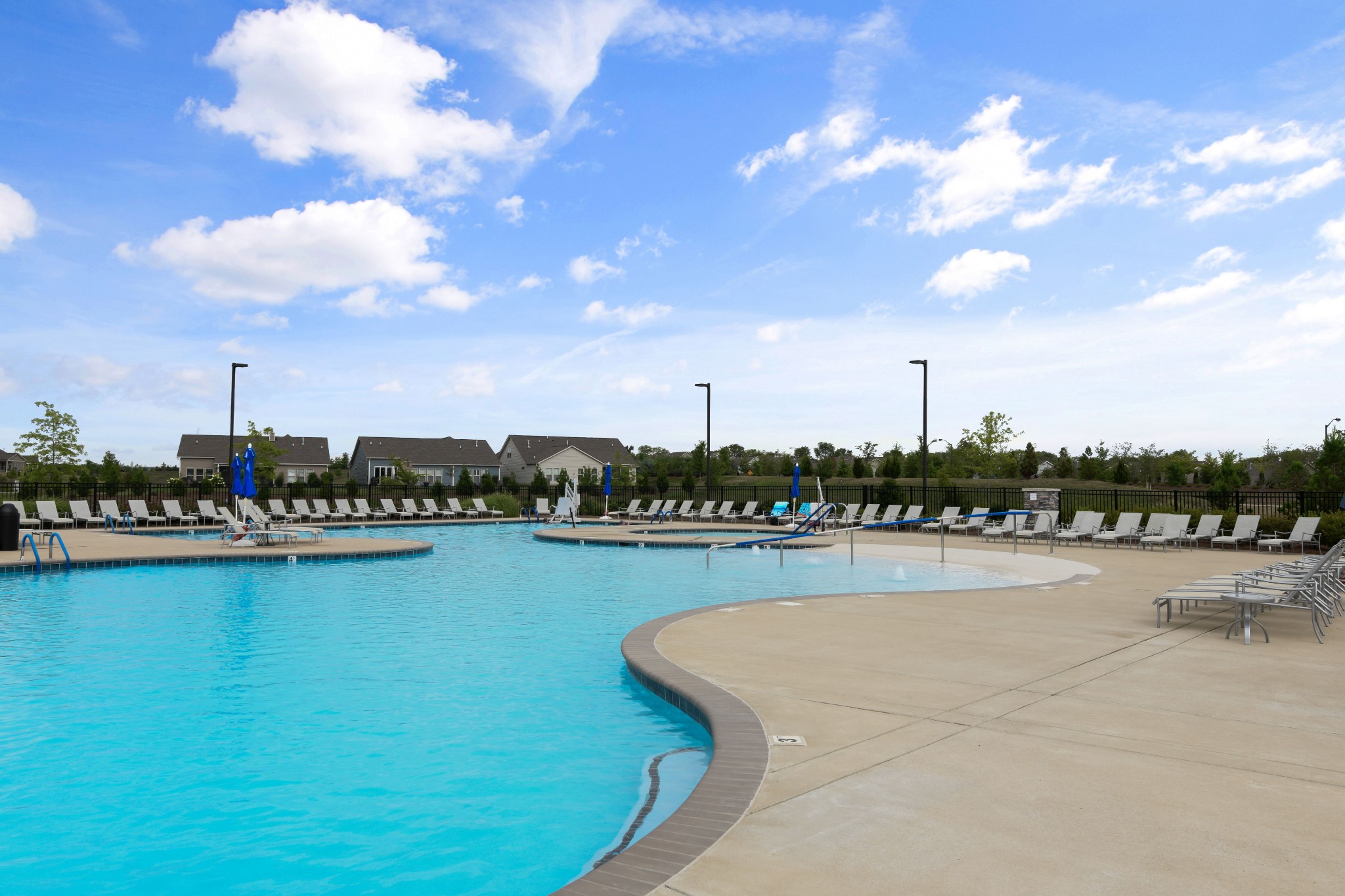 1009 Coffee Ridge Spring Hill, TN 37174 - Photo 49 of 53