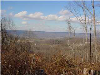 70 Cherokee Ridge Pikeville, TN 37367 - Photo 1 of 1 Primary Photo