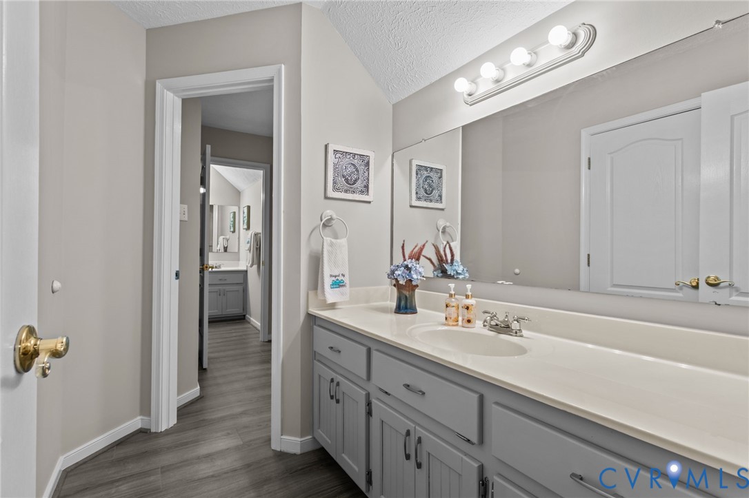 10710 Courthouse Road Dinwiddie, VA 23841 - Photo 36 of 48 a bathroom with a double vanity sink a mirror and shower