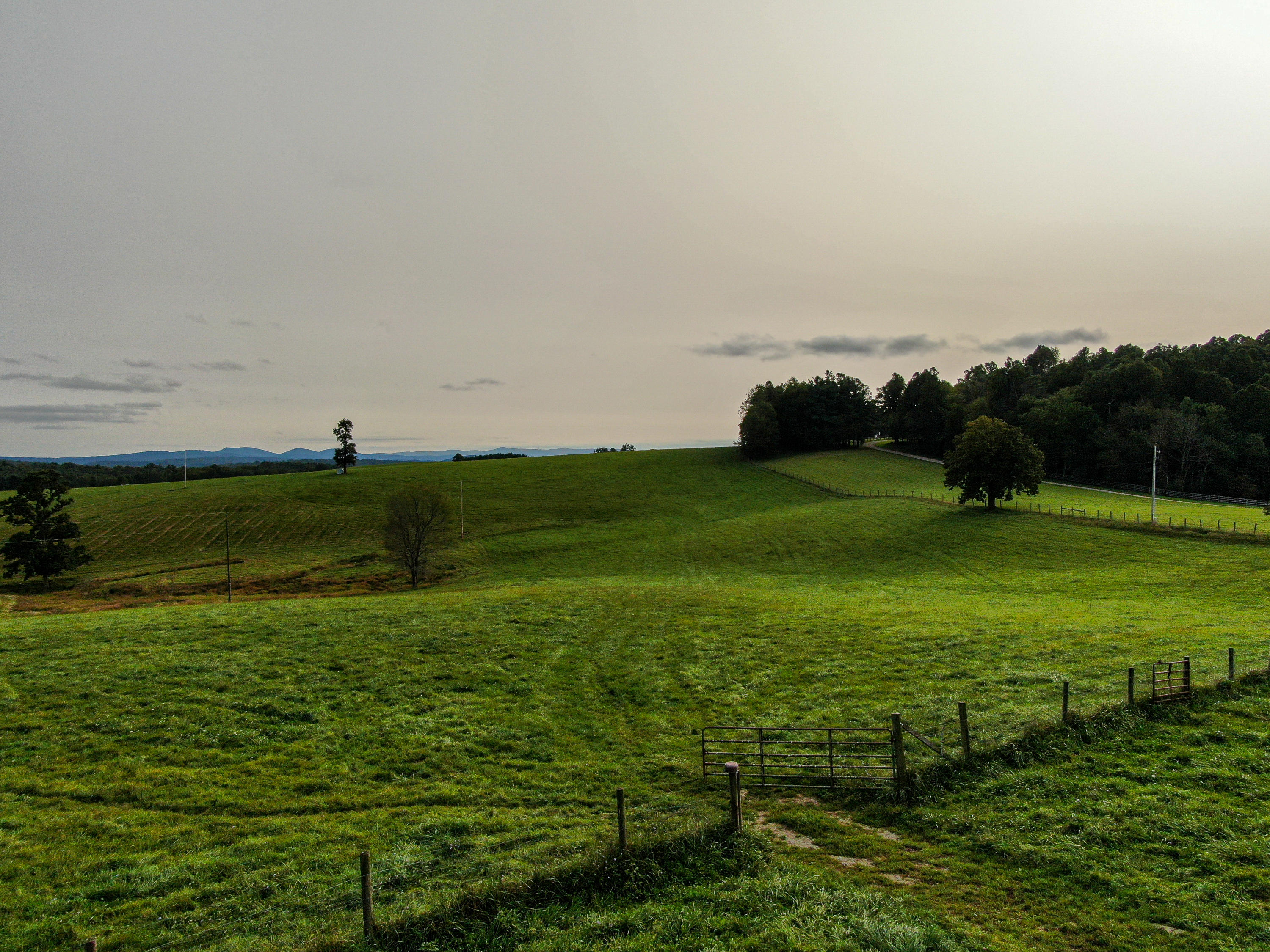 1040 Eanes Road Northeast Check, VA 24072 - Photo 6 of 17 a view of a field with an ocean