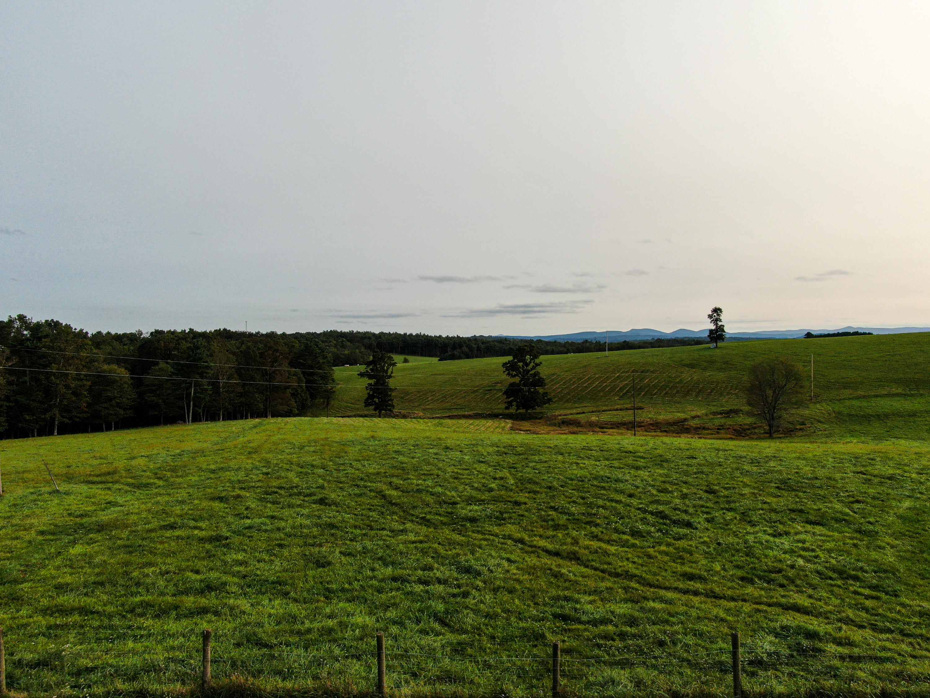 1040 Eanes Road Northeast Check, VA 24072 - Photo 7 of 17 a view of a grassy field