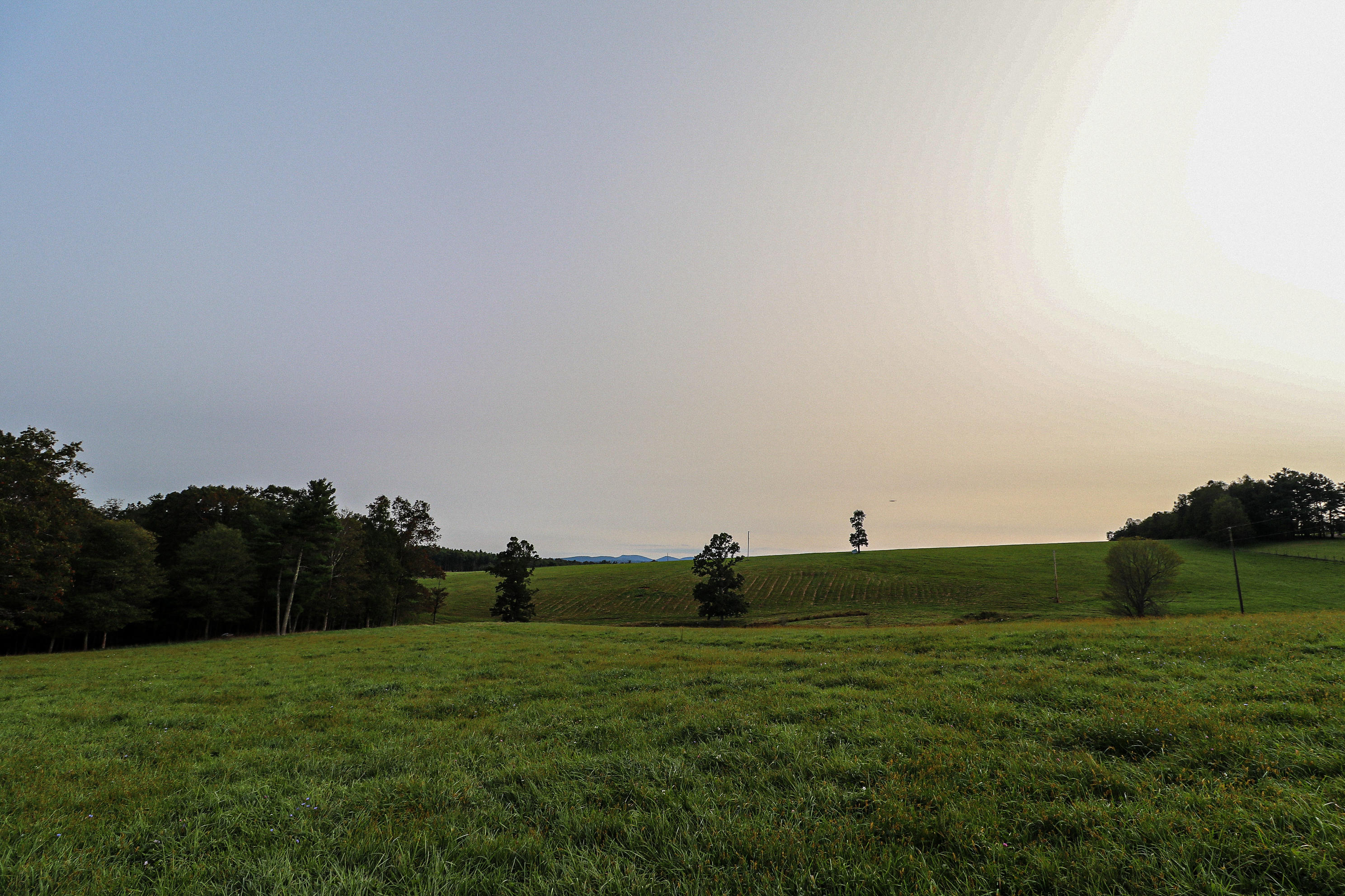 1040 Eanes Road Northeast Check, VA 24072 - Photo 8 of 17 a view of grassy field with trees
