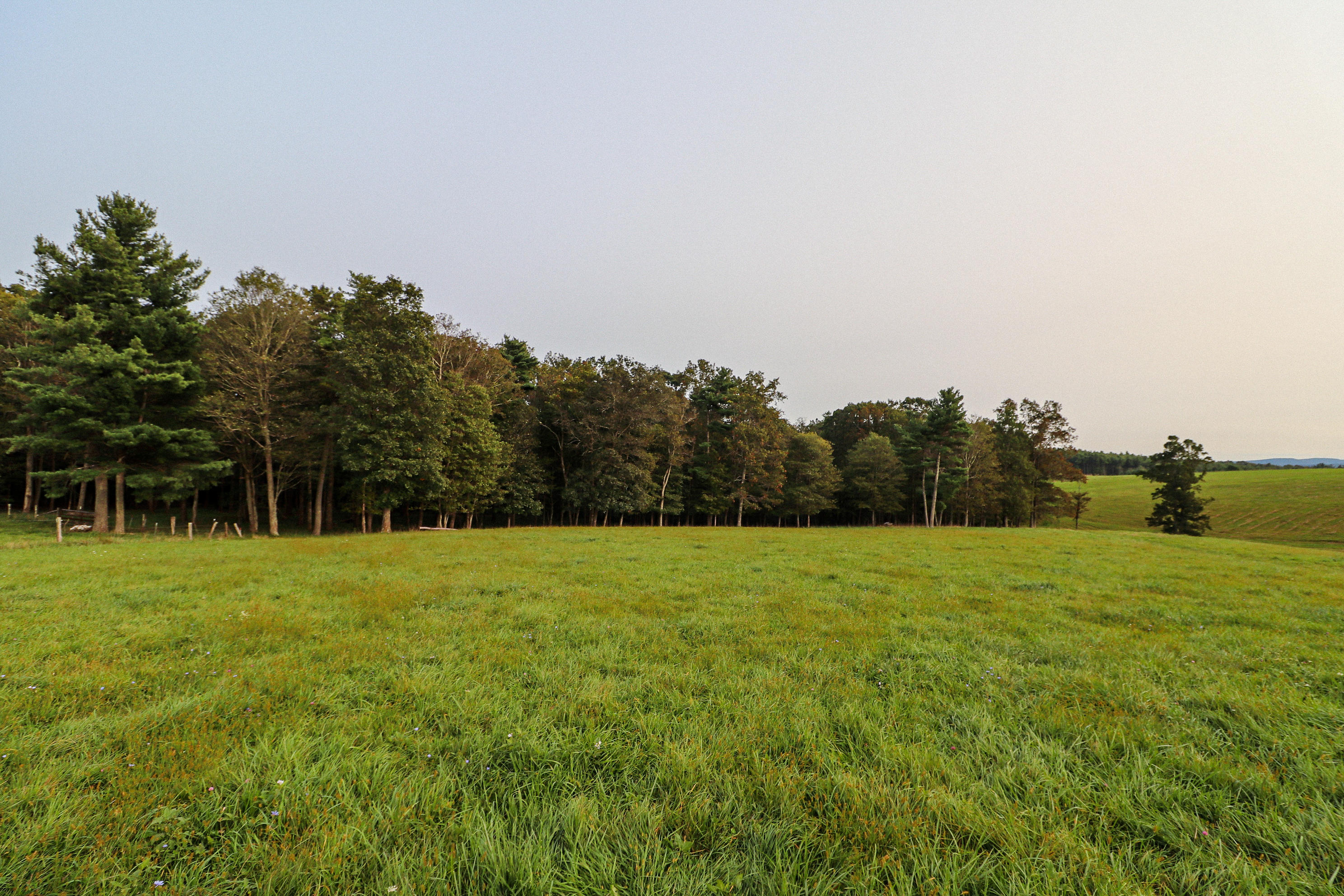 1040 Eanes Road Northeast Check, VA 24072 - Photo 9 of 17 a view of outdoor space and yard