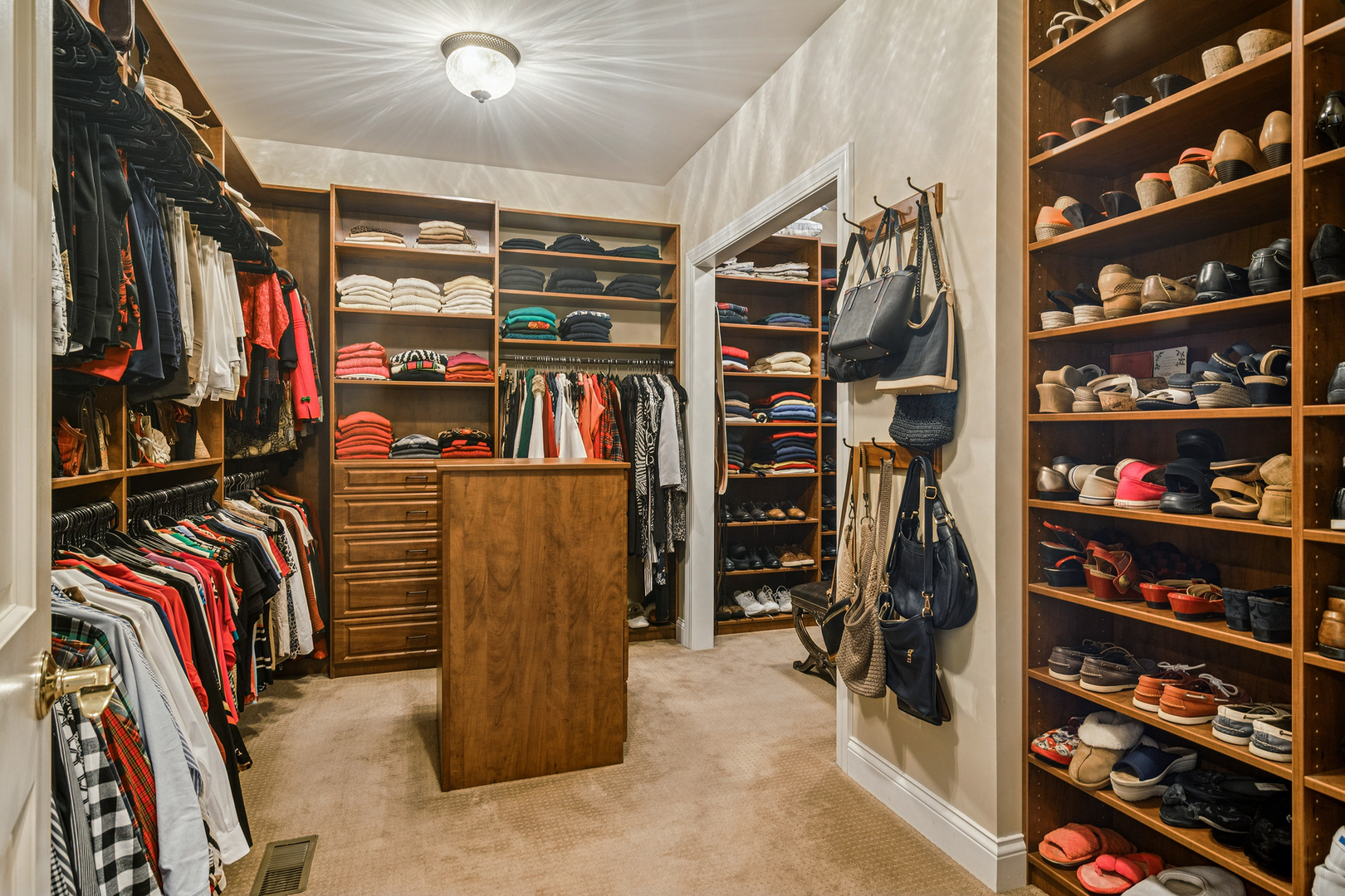 1520 MacAlpin Circle Inverness, IL 60010 - Photo 24 of 58 a view of walk in closet with clothes and shoes