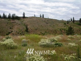 2 Rock Ranch Okanogan, WA 98840 - Photo 17 of 23 Gallery Image 17