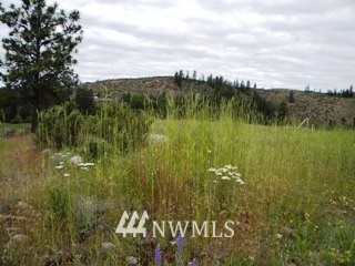 2 Rock Ranch Okanogan, WA 98840 - Photo 3 of 23 Gallery Image 3