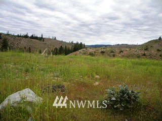 2 Rock Ranch Okanogan, WA 98840 - Photo 7 of 23 Gallery Image 7