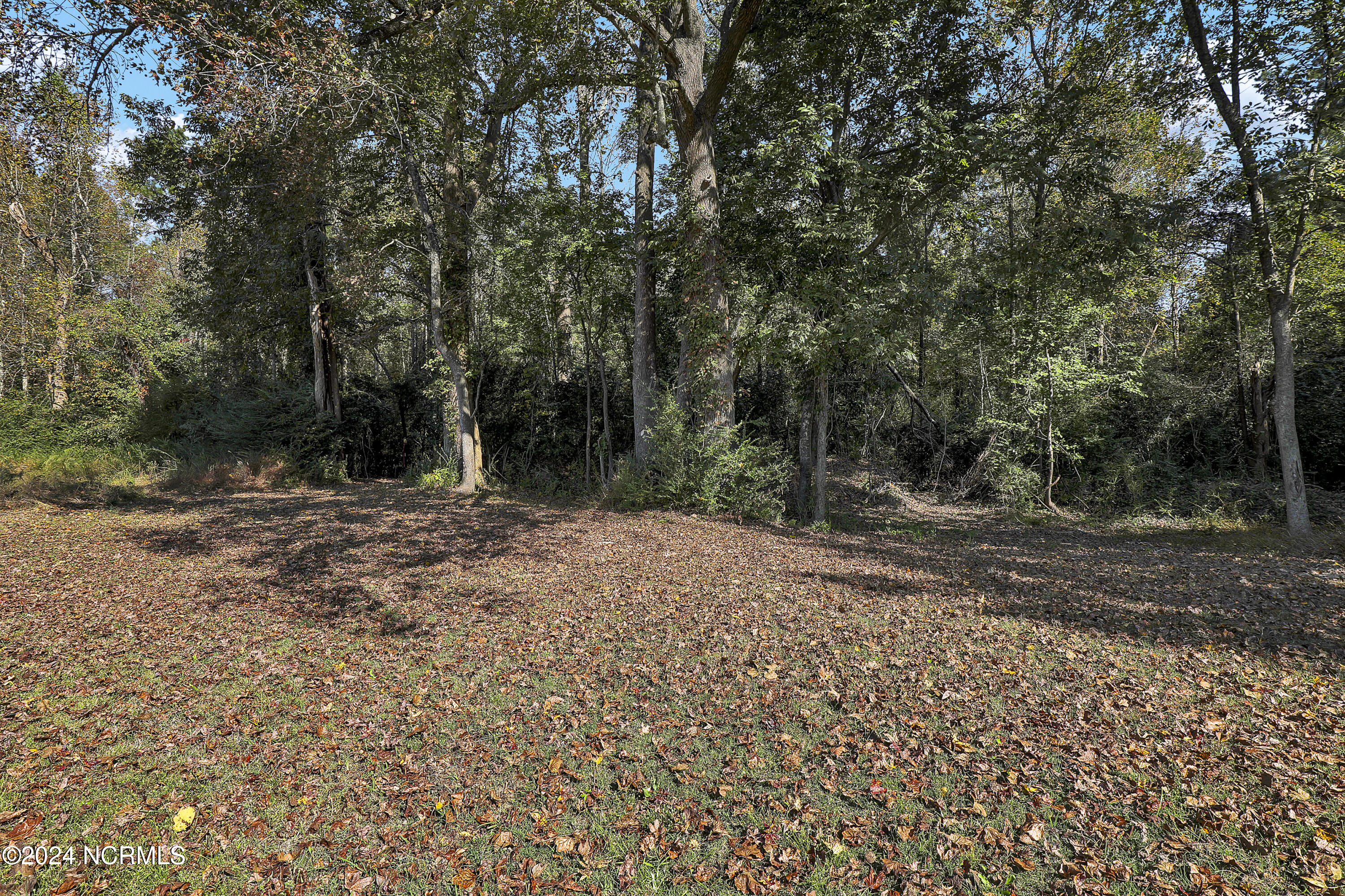 1014 Harrell's Loop Road Jacksonville, NC 28540 - Photo 7 of 21 6G8A6501