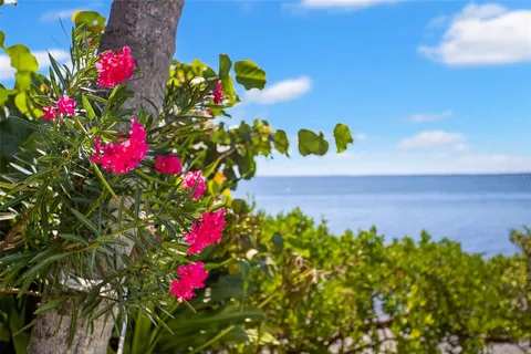 $5,995,000 | 6199 54th Street South, St. Petersburg, FL 33715